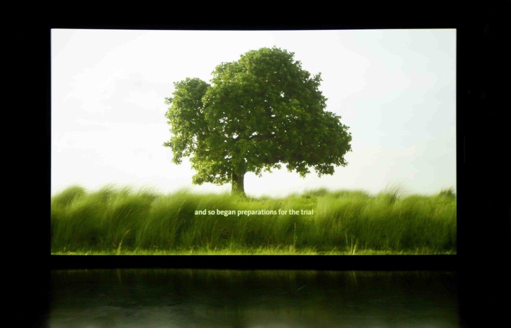 amar-kanwar_the-scene-of-crime_2011-courtesy-castello-di-rivoli-museo-darte-contemporanea