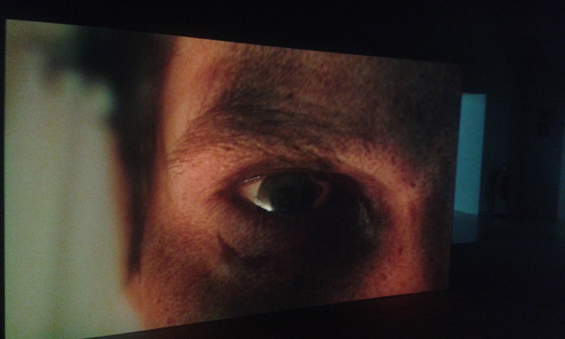 ed-atkins_hisser-2015_castello-di-rivoli-museo-darte-contemporanea