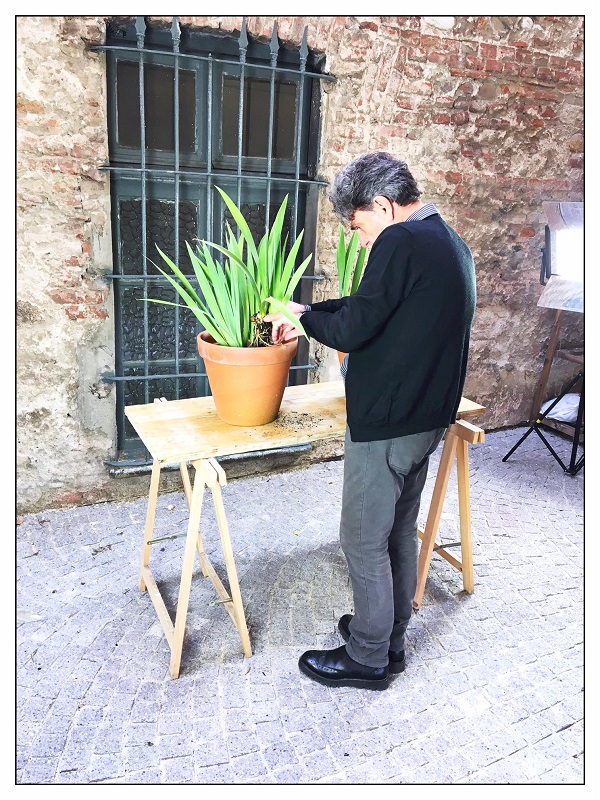 Aldo Taranto_In attesa di condizioni migliori