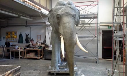 Il passaggio dell’elefante Fritz in centro a Torino!