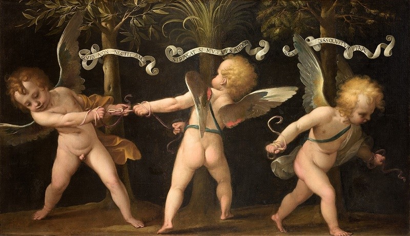 De Arte Gymnastica: corpi in movimento alla Pinacoteca Albertina.