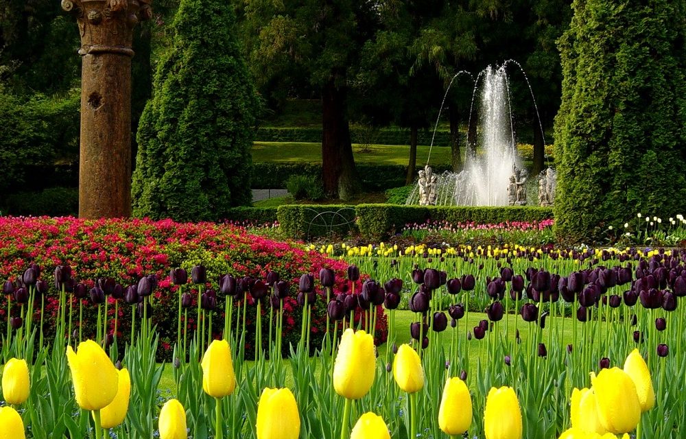 Classifica giardini, il Piemonte batte Versailles