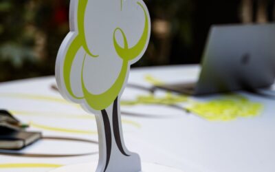 Salvare più del salvabile. Festival dell’Economia e stato sociale